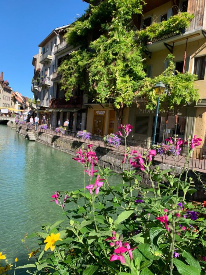 Lake Home Annecy Bagian luar foto