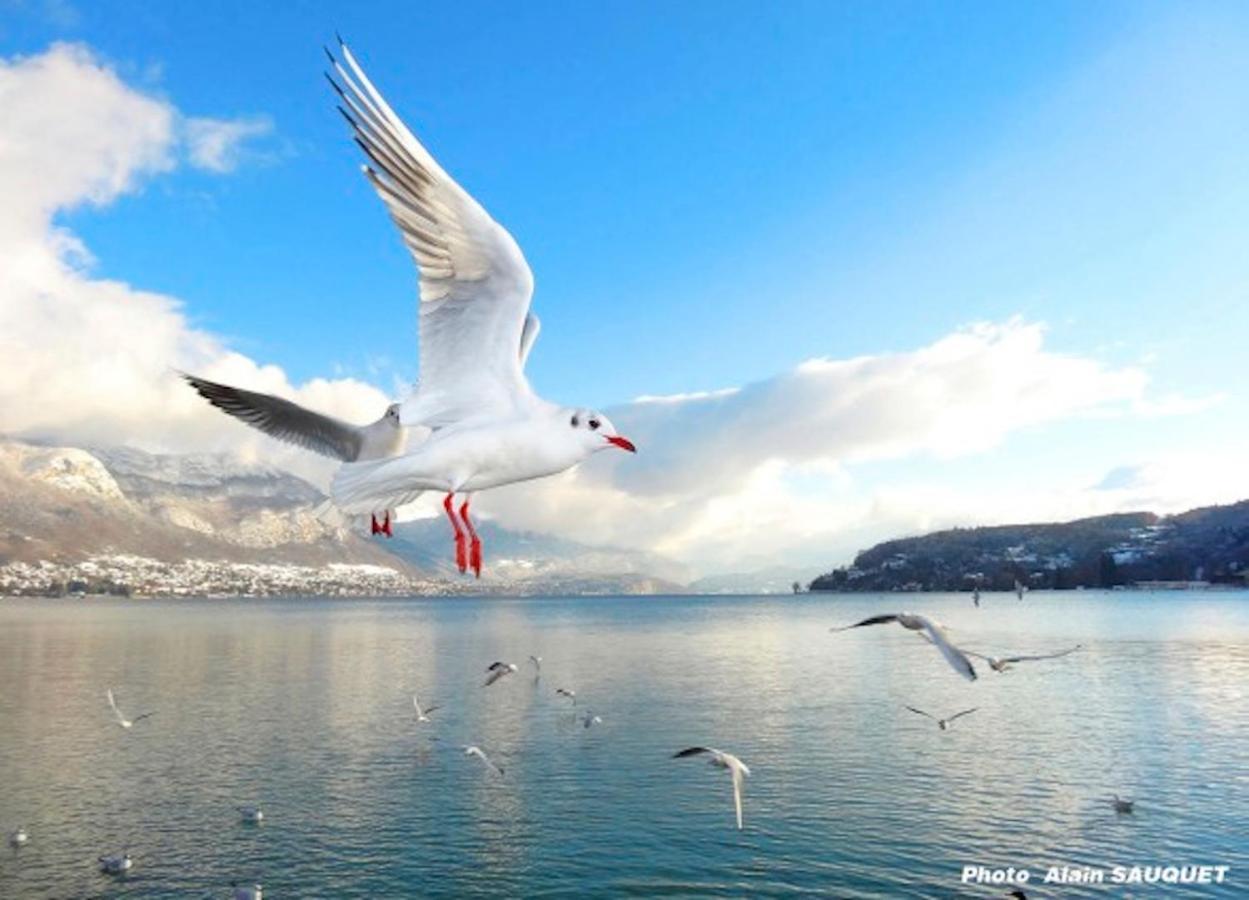Lake Home Annecy Bagian luar foto